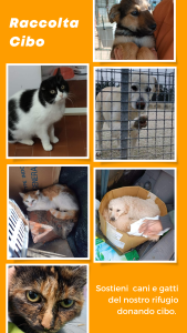 adotta-un-cucciolo-frosinone-modulo-adozione